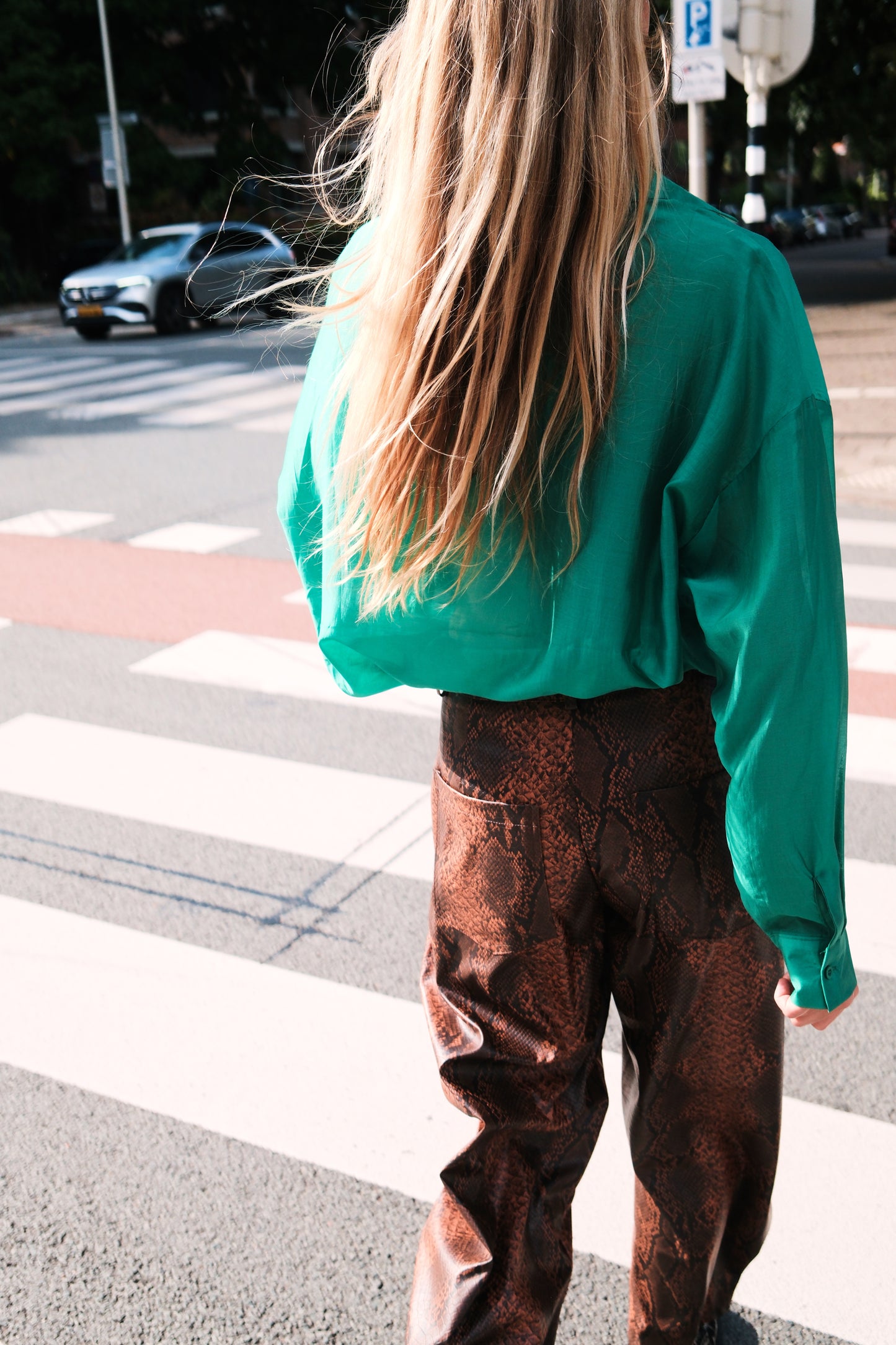 SNAKE PANTS