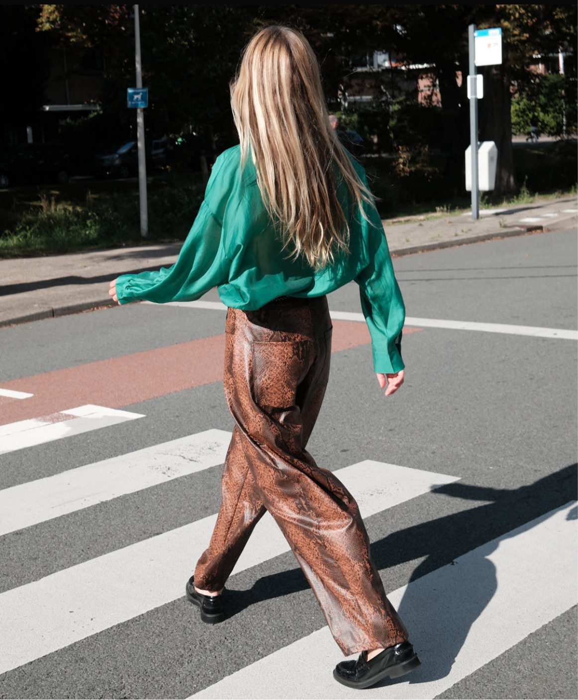 SNAKE PANTS