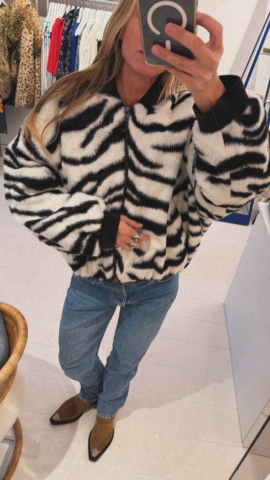 ZEBRA BOMBER