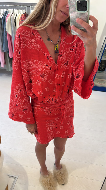 PRE ORDER - SUE DRESS PAISLEY