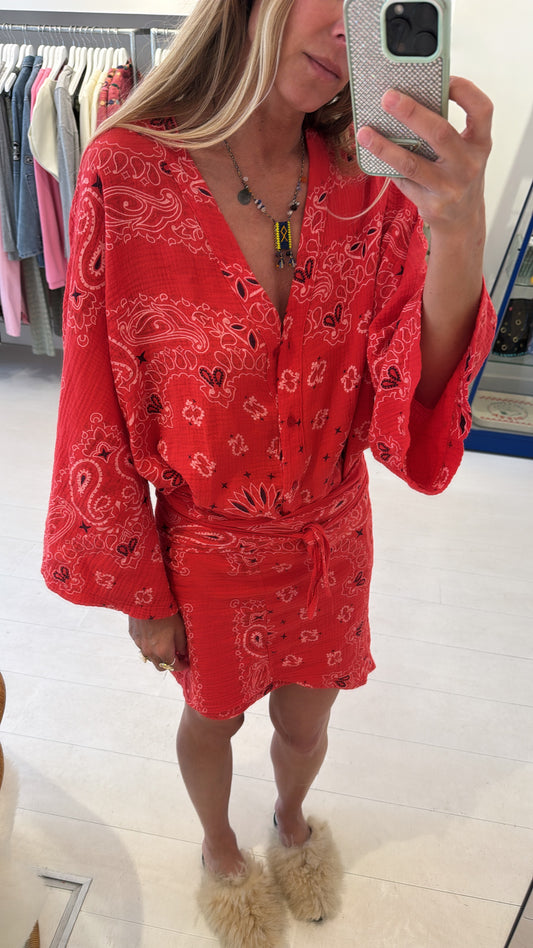 PRE ORDER - SUE DRESS PAISLEY