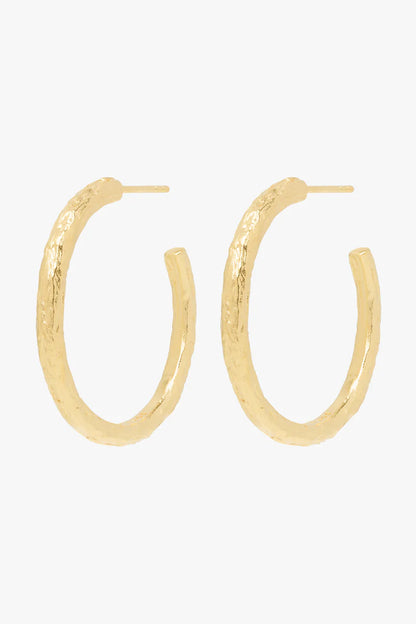 Wanderlust hammered hoop gold plated (32mm) (pair)